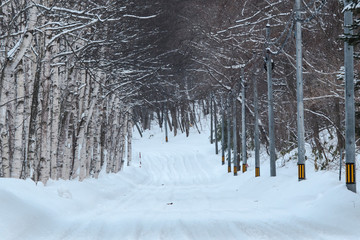 冬の道 / 北海道 冬の風景