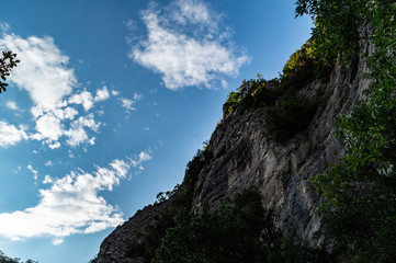 Sguardo in alto dal sentiero di Rio Vitoschio