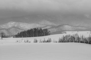 冬の美瑛の丘 / 北海道の観光イメージ