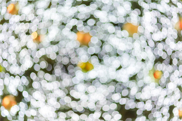 abstract blur Christmas bokeh background.