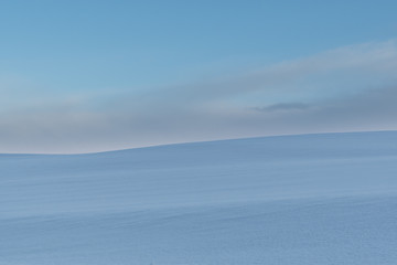 冬の美瑛の丘 / 北海道の観光イメージ
