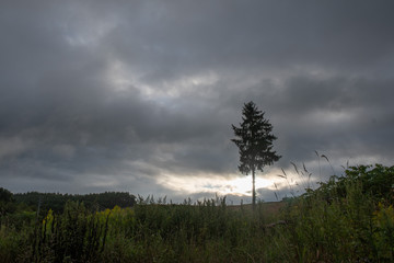 悪天候の美瑛の丘 / 北海道美瑛町