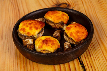 Baked champignon with cheese