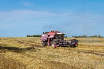 Obraz premium Harvesting on a harvester. The combine harvester removes the grain crop on the field. Harvesting of cereals in rural areas
