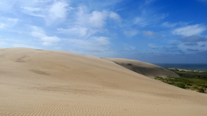 Fototapeta na wymiar Dune di sabbia