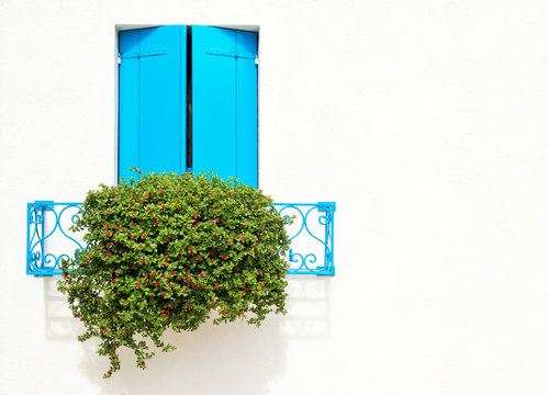 Beautiful window with blue shutters and flowers on a white wall. Colorful houses on Burano island near Venice, Italy - Powered by Adobe