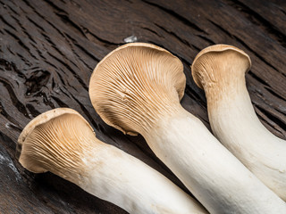 King oyster mushrooms on the wooden background.