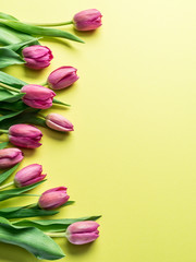 Delicate fresh tulips on yellow background.