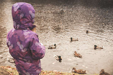 Fototapeta premium Girl in warm clothes feeds ducks on a pond