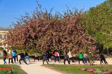 Group of active elderly people doing exercises in the park in spring in Paris, France, on April 9, 2014
