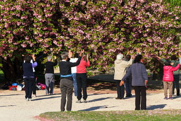 Obraz premium Group of active elderly people doing exercises in the park in spring in Paris, France, on April 9, 2014 
