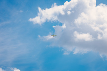 deltaplan in the sky