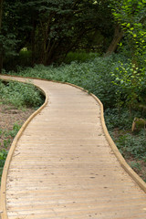 Obraz premium A wooden path replaces a footpath in Pishiobury Park in Sawbridgeworth to increase access for those who find the rough terrain difficult