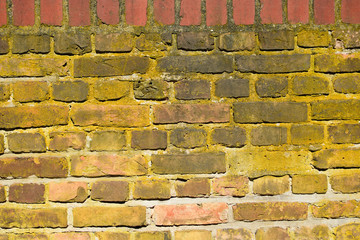 Yellow old Brickwall