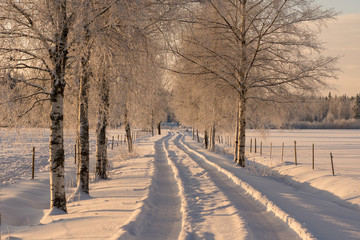 Snowy countryside road on a sunny winter day