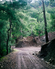 A path in a mountain forest.