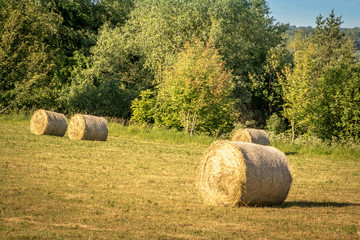 żniwa na suwalszczyźnie © Krzysztof Stasiak