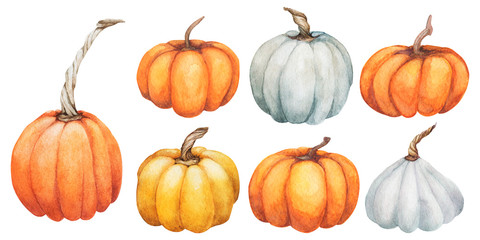 Pumpkin set collections. Watercolor Hand painted pumpkins for halloween and Fall on white background. Autumn harvest. Vegetarian raw food
