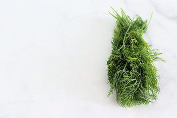 Bunch of fresh dill on white marble, copy space