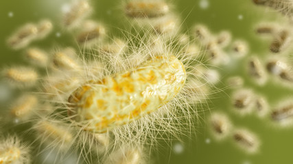 Microscopic bacteria closeup - 3D Rendering