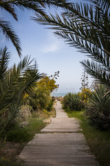 Obraz premium Playa Natural 