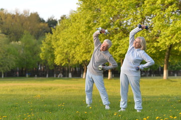 Portrait of fit senior couple exercising in park