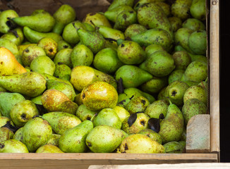 Heap of Ripe Organic Green Yellow and Brown Conference Pears in Big Garden Wood Box at Farmers Market. Bright Vibrant Vivid Colors. Autumn Fall Harvest. Local produce.