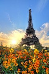 Fototapeta na wymiar Beautiful spring sunset view of the Eiffel tower with flowers in the park in Paris, France