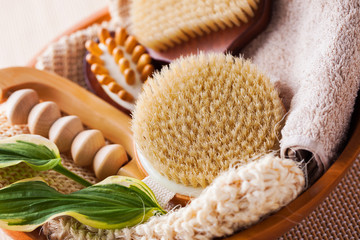 brushes for dry body massage