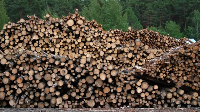 Stock of timber