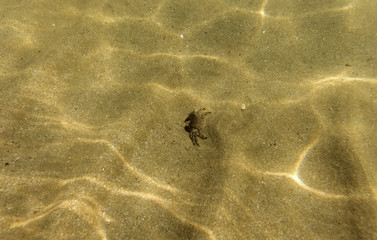 seabed, underwater photography