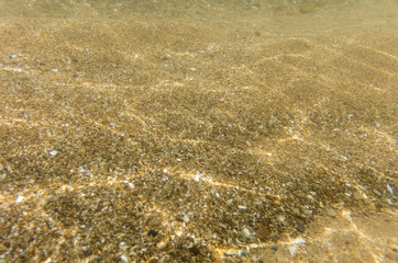 seabed, underwater photography