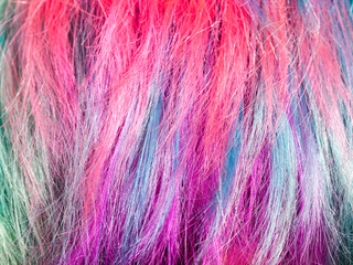Obraz premium colorful dyed strands of female hairs