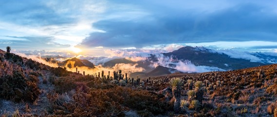 Vulkan Tolima im Nationalpark Los Nevados mit wunderschöner Vegetation Frailejones (Espeletia) Expedition mit Blick vom Basislager, Kolumbien