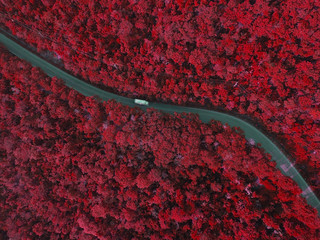 white cargo flat bed truck transportation driving along the road in the mountain motion blur for show movement speed of vehicle high aerial top down shot infrared effect