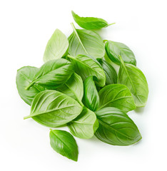 Fototapeta premium fresh green basil leaves isolated on white background