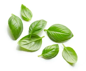 Foto op Canvas fresh green basil leaves isolated on white background © Karlis