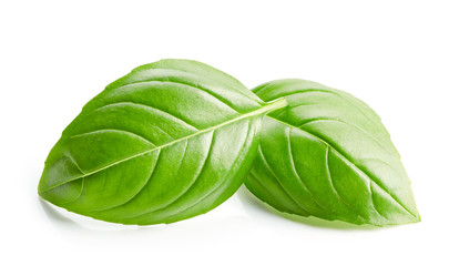 Fototapeta premium fresh green basil leaves isolated on white background