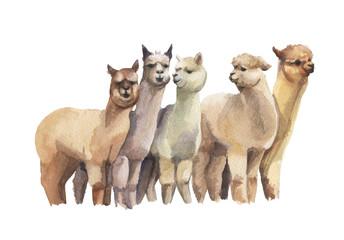 Cheerful company.Lime group on white background. Isolated.Watercolor illustration.