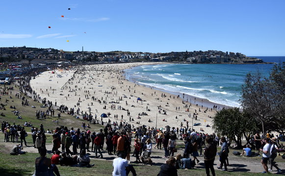 Kite flyers and tourists attend the annual free outdoor kite flying festival at Bondi Beach, Sydney. Festival of the Winds.