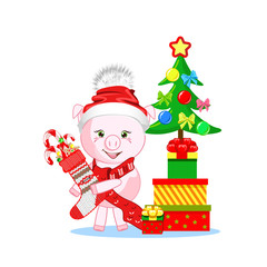 sweet pig in winter hat