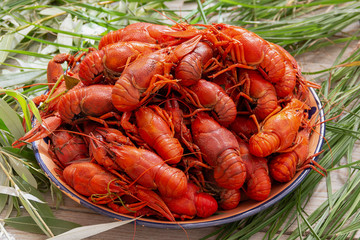 red, boiled, crayfish