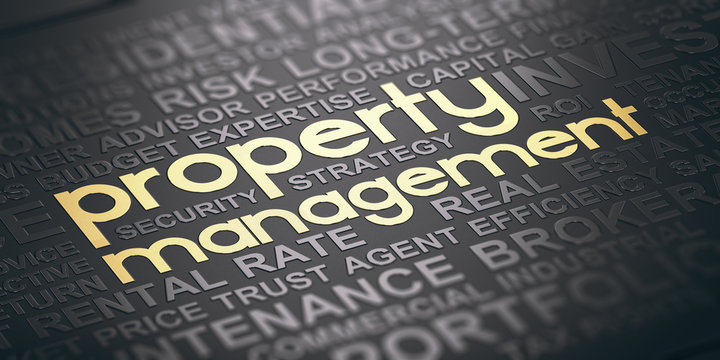 Real Estate and Property Management Background