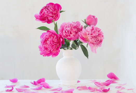pink peonies in vase on  white  background