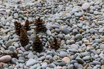 Cones on the beach