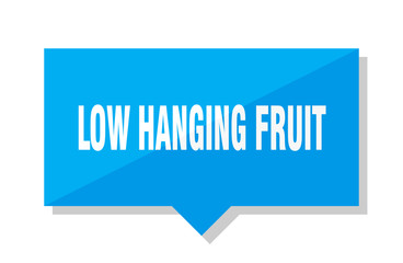 low hanging fruit price tag