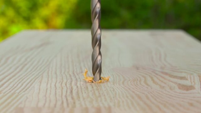 Closeup of a drill bit drilling a hole in a wooden plank. Outdoors. Copy space.