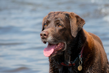 Cooling Off