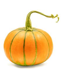 Fresh orange and green pumpkin isolated on white with clipping path