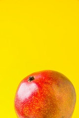 Ripe organic juicy colorful mango on bright sunny yellow background. Healthy lifestyle vegan vitamins concept. High resolution poster banner template with copy space